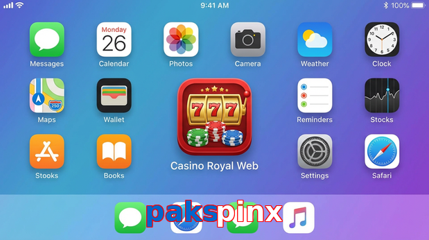 Payment and PKR controls in Pakspinx